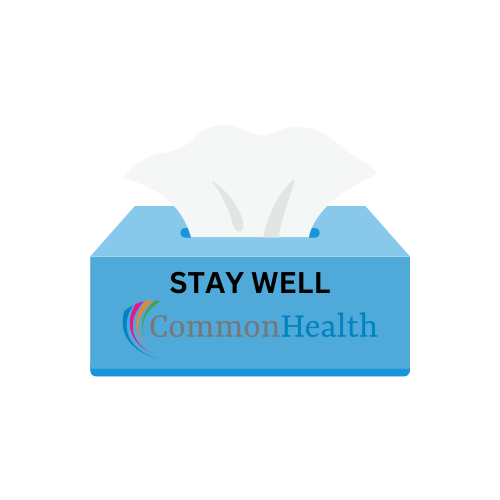 Logo chương trình Stay Well